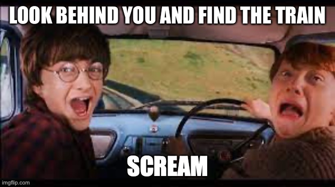 Best title ever, much epic | LOOK BEHIND YOU AND FIND THE TRAIN | image tagged in harry and ron scream | made w/ Imgflip meme maker