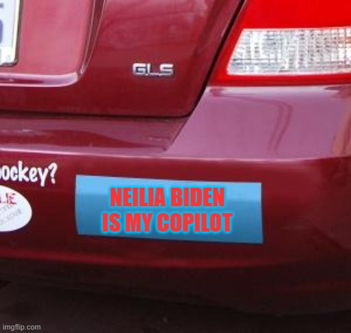 Blank bumper sticker | NEILIA BIDEN IS MY COPILOT | image tagged in blank bumper sticker | made w/ Imgflip meme maker