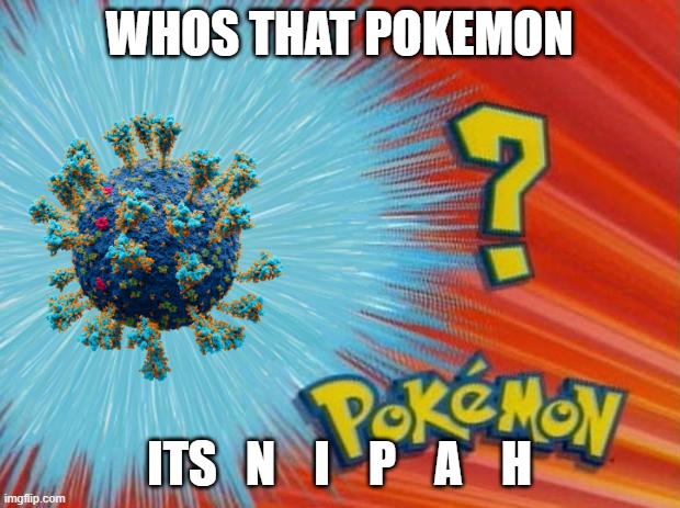 2022 is gonna suck | WHOS THAT POKEMON; ITS   N    I    P    A    H | image tagged in who is that pokemon | made w/ Imgflip meme maker