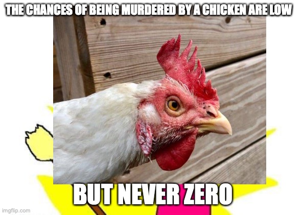 Chances of Being Murdered By a Chicken | THE CHANCES OF BEING MURDERED BY A CHICKEN ARE LOW; BUT NEVER ZERO | image tagged in humor | made w/ Imgflip meme maker