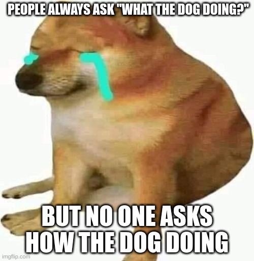 How are you all? | PEOPLE ALWAYS ASK "WHAT THE DOG DOING?"; BUT NO ONE ASKS HOW THE DOG DOING | image tagged in cheems crying | made w/ Imgflip meme maker