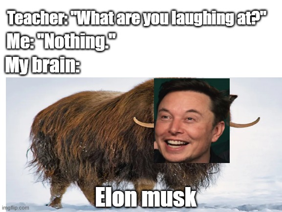 Teacher: "What are you laughing at?"; Me: "Nothing."; My brain:; Elon musk | image tagged in memes,funny,funny memes,elon musk,my brain,dank memes | made w/ Imgflip meme maker