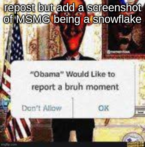 Obama would like to report a bruh moment | repost but add a screenshot of MSMG being a snowflake | image tagged in obama would like to report a bruh moment | made w/ Imgflip meme maker