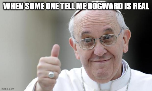 Pope francis | WHEN SOME ONE TELL ME HOGWARD IS REAL | image tagged in pope francis | made w/ Imgflip meme maker