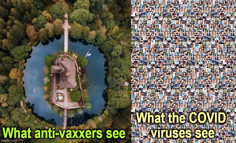 The death rate is three times higher in anti-vax states. You're being sent a message. | What anti-vaxxers see; What the COVID 
viruses see | image tagged in covid-19,pandemic,hospital,death,anti-vaxx,suicide | made w/ Imgflip meme maker