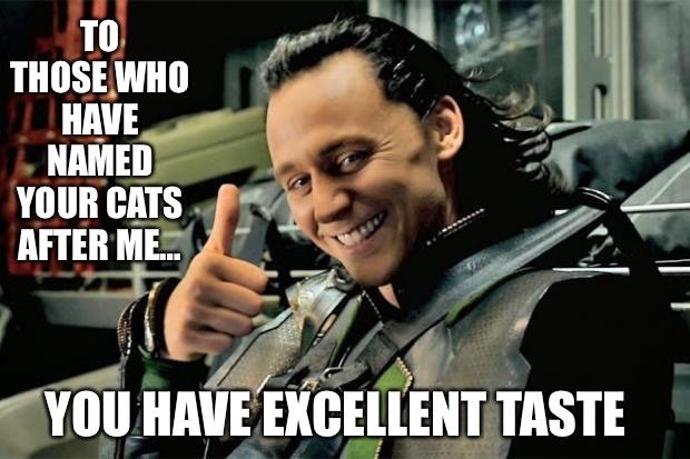 Loki to cat owners | TO THOSE WHO HAVE NAMED YOUR CATS AFTER ME…; YOU HAVE EXCELLENT TASTE | image tagged in thumbs up loki | made w/ Imgflip meme maker
