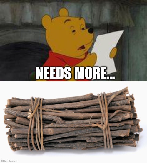 NEEDS MORE... | image tagged in pooh reading,ok faggot | made w/ Imgflip meme maker