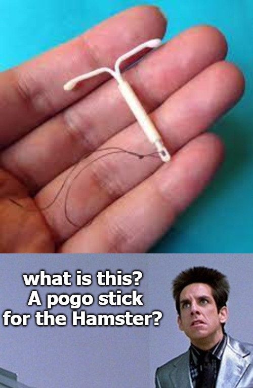 what is this?  A pogo stick for the Hamster? | image tagged in pogo | made w/ Imgflip meme maker