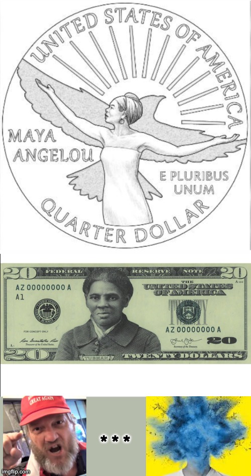 New money honoring American heroes | * * * | image tagged in maya angelou quarter,money,heroes,harriet tubman | made w/ Imgflip meme maker