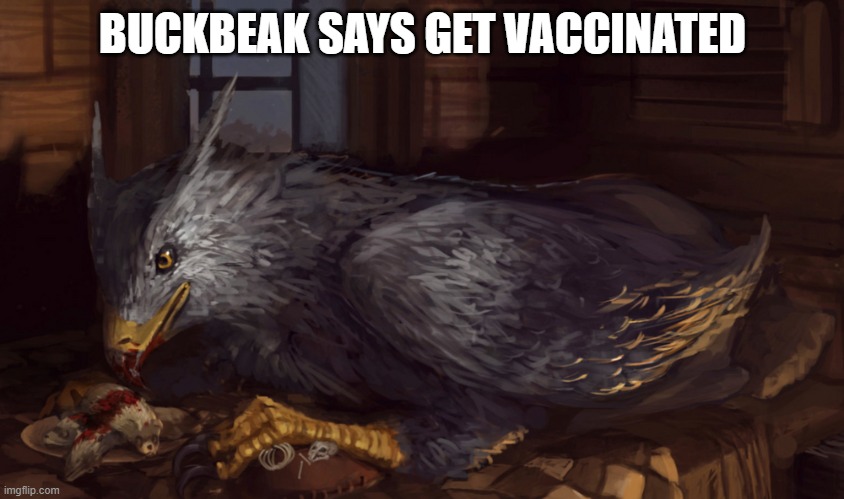 Buckbeak | BUCKBEAK SAYS GET VACCINATED | image tagged in buckbeak | made w/ Imgflip meme maker