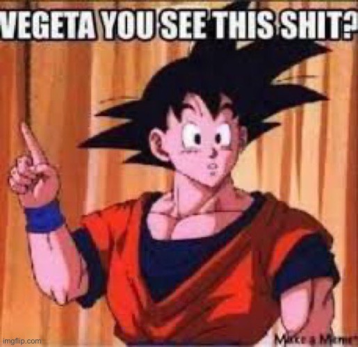 image tagged in vegeta you see this shit | made w/ Imgflip meme maker