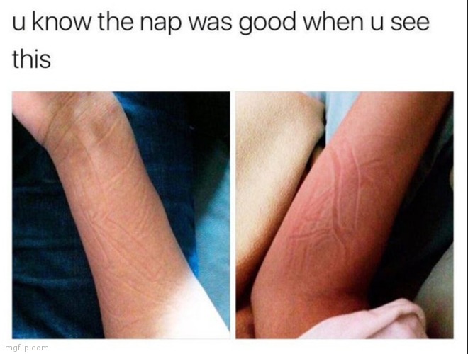 What a good rest | image tagged in sleeping | made w/ Imgflip meme maker