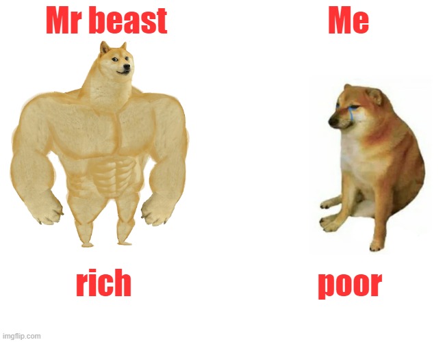 Mr beast and Me | Mr beast; Me; rich; poor | image tagged in memes,buff doge vs cheems | made w/ Imgflip meme maker