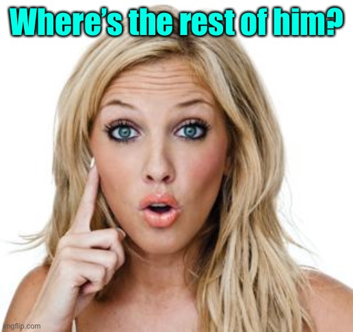 Dumb blonde | Where’s the rest of him? | image tagged in dumb blonde | made w/ Imgflip meme maker