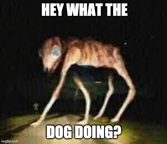 big charile | HEY WHAT THE; DOG DOING? | image tagged in trevorhenderson,dogdoing | made w/ Imgflip meme maker