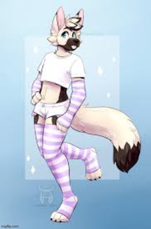 Femboy furry | image tagged in femboy furry | made w/ Imgflip meme maker