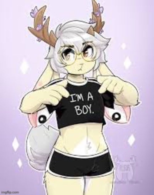 Femboy furry | image tagged in femboy furry | made w/ Imgflip meme maker