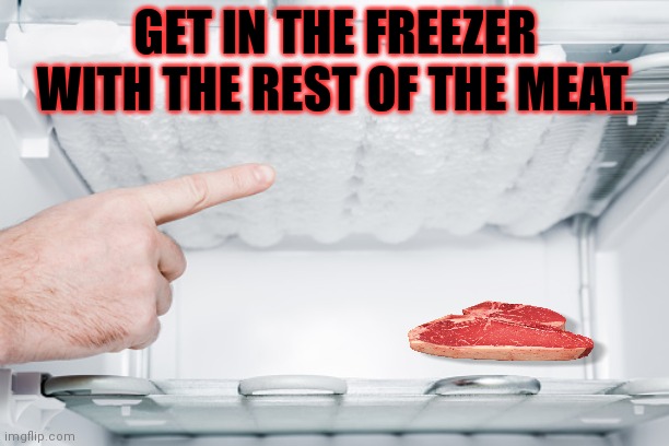 Why? |  GET IN THE FREEZER WITH THE REST OF THE MEAT. | image tagged in why,it's time to stop,bad memes | made w/ Imgflip meme maker