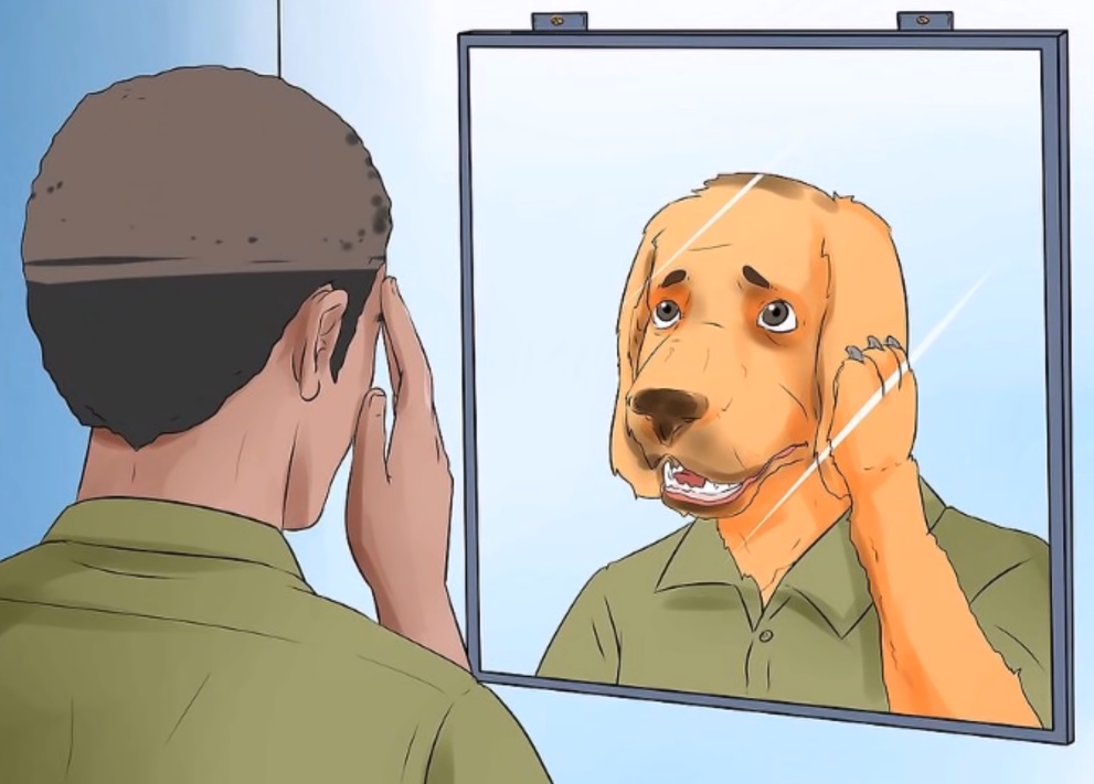 High Quality Mirror dog Blank Meme Template