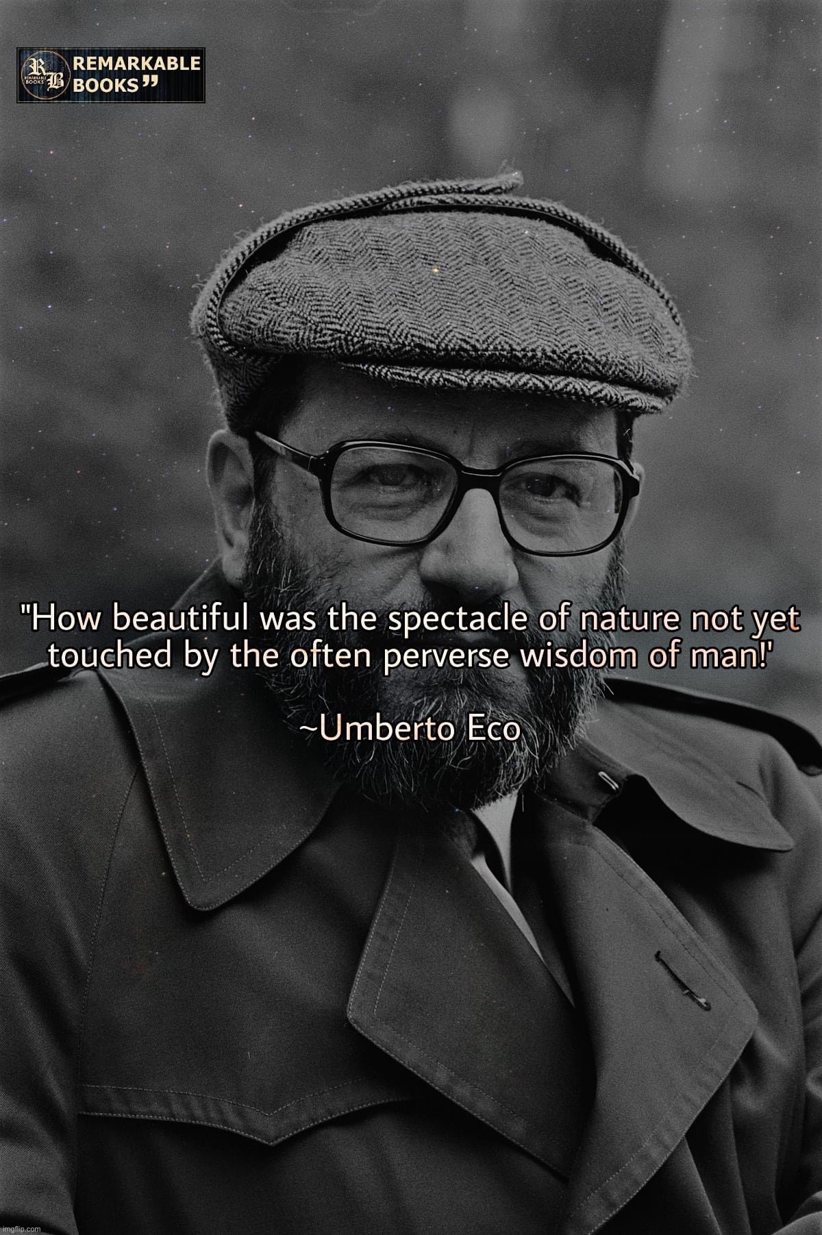 Umberto Eco quote | image tagged in umberto eco quote | made w/ Imgflip meme maker