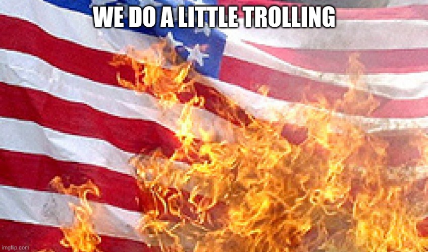 Burning Flag | WE DO A LITTLE TROLLING | image tagged in burning flag | made w/ Imgflip meme maker