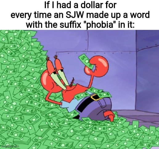 SJWs are always misusing the word "phobia" | If I had a dollar for every time an SJW made up a word with the suffix "phobia" in it: | image tagged in mr krabs money,cancel culture,political correctness,liberal logic,stupid liberals,sjws | made w/ Imgflip meme maker