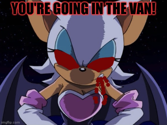 Angry Rouge | YOU'RE GOING IN THE VAN! | image tagged in angry rouge | made w/ Imgflip meme maker