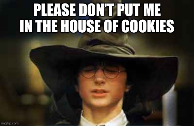 Harry Potter sorting hat | PLEASE DON’T PUT ME IN THE HOUSE OF COOKIES | image tagged in harry potter sorting hat | made w/ Imgflip meme maker