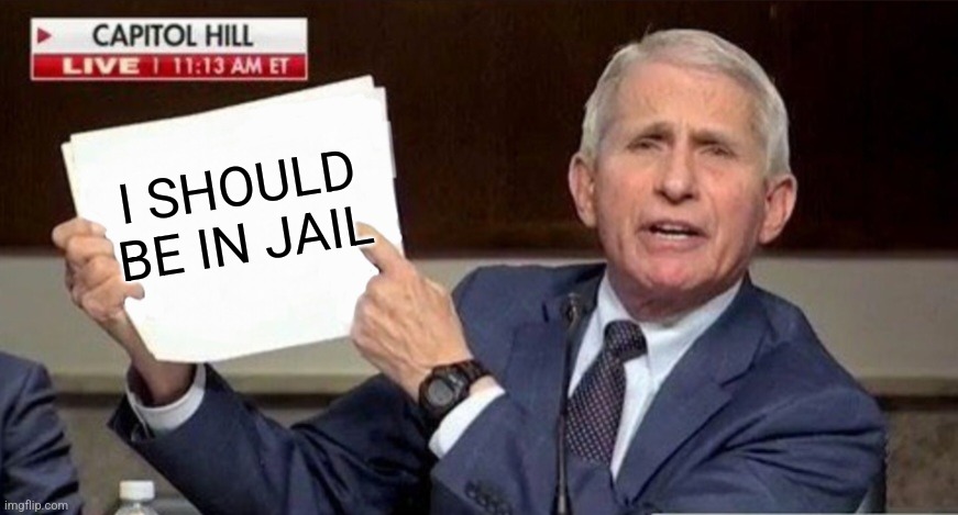 Fauci It says right here | I SHOULD BE IN JAIL | image tagged in fauci it says right here | made w/ Imgflip meme maker