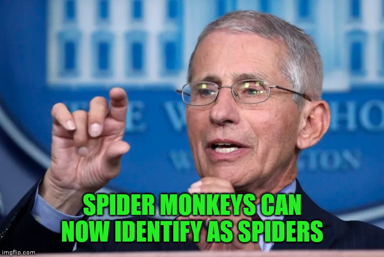 SPIDER MONKEYS CAN NOW IDENTIFY AS SPIDERS | made w/ Imgflip meme maker