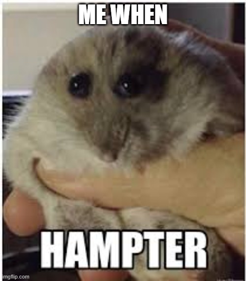 hampter | ME WHEN | image tagged in hampter | made w/ Imgflip meme maker