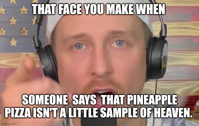 Zeducation DUMB! | THAT FACE YOU MAKE WHEN; SOMEONE  SAYS  THAT PINEAPPLE PIZZA ISN'T A LITTLE SAMPLE OF HEAVEN. | image tagged in zeducation dumb | made w/ Imgflip meme maker