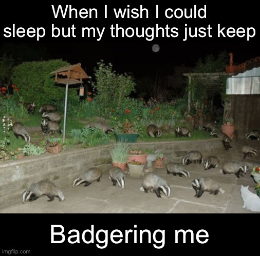 Can’t Turn My Brain Off. Again. | When I wish I could sleep but my thoughts just keep; Badgering me | image tagged in funny memes,insomnia | made w/ Imgflip meme maker