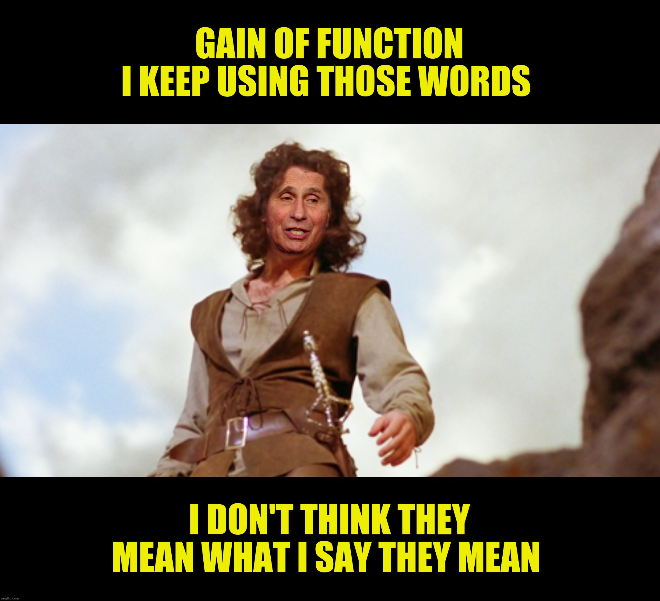 GAIN OF FUNCTION
I KEEP USING THOSE WORDS I DON'T THINK THEY MEAN WHAT I SAY THEY MEAN | made w/ Imgflip meme maker