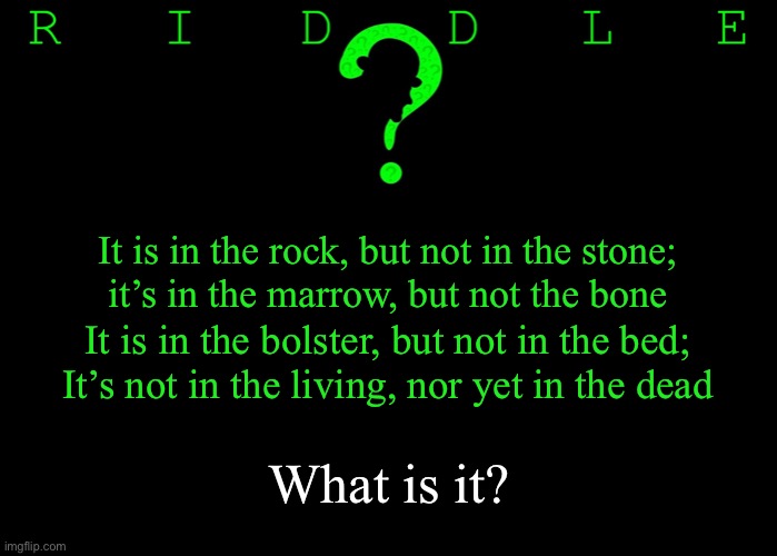 Riddle #31 (Three upvotes to the first correct answer posted in comments.) |  It is in the rock, but not in the stone;
it’s in the marrow, but not the bone; It is in the bolster, but not in the bed;
It’s not in the living, nor yet in the dead; What is it? | image tagged in memes,riddles and brainteasers | made w/ Imgflip meme maker