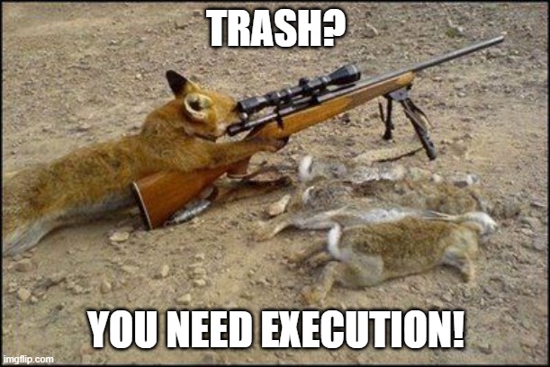 TRASH? YOU NEED EXECUTION! | image tagged in fox with rifle | made w/ Imgflip meme maker