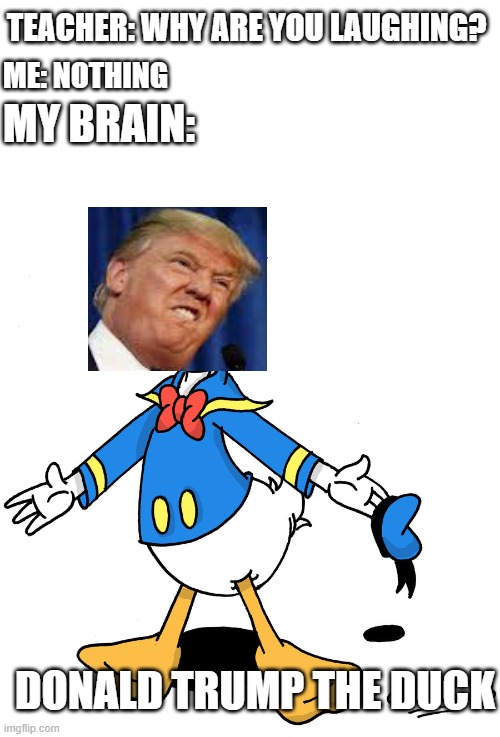 -_- | TEACHER: WHY ARE YOU LAUGHING? ME: NOTHING; MY BRAIN:; DONALD TRUMP THE DUCK | image tagged in donald duck shrugs | made w/ Imgflip meme maker