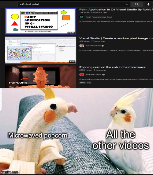 Ah yes. Microwaved popcorn. Exactly what I was searching for. | Microwaved popcorn; All the other videos | image tagged in impostor bird | made w/ Imgflip meme maker