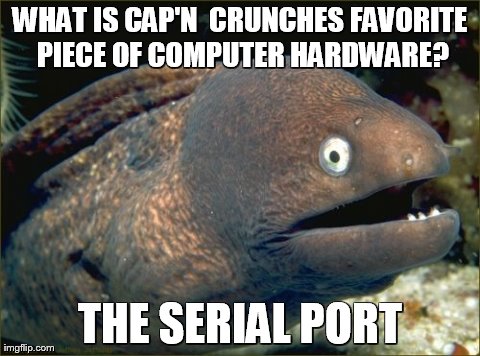 Bad Joke Eel Meme | WHAT IS CAP'N  CRUNCHES FAVORITE PIECE OF COMPUTER HARDWARE? THE SERIAL PORT | image tagged in memes,bad joke eel | made w/ Imgflip meme maker