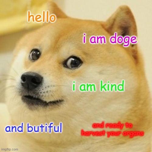 Doge Meme | hello; i am doge; i am kind; and ready to harvest your organs; and butiful | image tagged in memes,doge | made w/ Imgflip meme maker