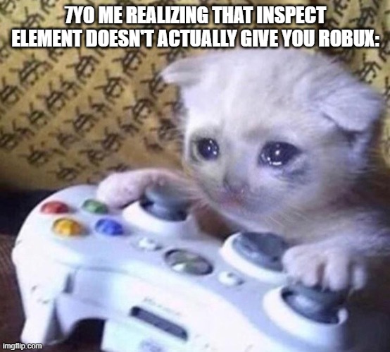 Sad Gamer Cat | 7YO ME REALIZING THAT INSPECT ELEMENT DOESN'T ACTUALLY GIVE YOU ROBUX: | image tagged in sad gamer cat | made w/ Imgflip meme maker
