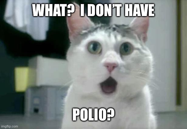 OMG Cat Meme | WHAT?  I DON’T HAVE POLIO? | image tagged in memes,omg cat | made w/ Imgflip meme maker