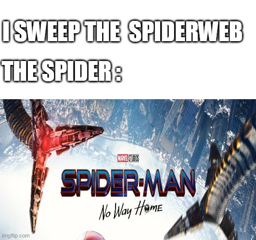 I SWEEP THE  SPIDERWEB; THE SPIDER : | image tagged in blank white template | made w/ Imgflip meme maker