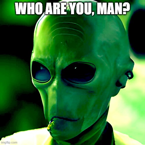 alien's questionts | WHO ARE YOU, MAN? | image tagged in aliens | made w/ Imgflip meme maker