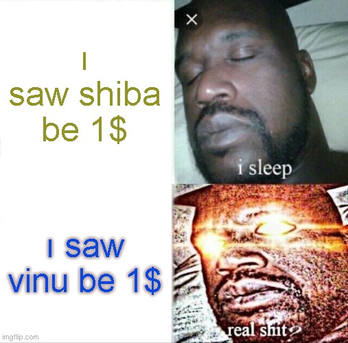 Sleeping Shaq Meme | ı saw shiba be 1$; ı saw vinu be 1$ | image tagged in memes,sleeping shaq | made w/ Imgflip meme maker