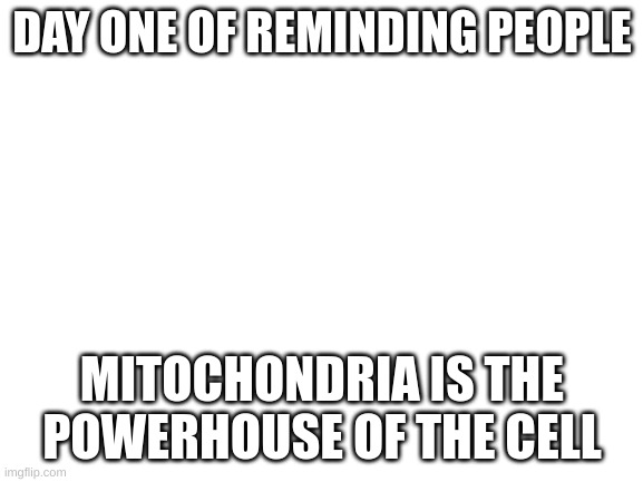 mitochondria go brrrrrrrrrrr | DAY ONE OF REMINDING PEOPLE; MITOCHONDRIA IS THE POWERHOUSE OF THE CELL | image tagged in blank white template | made w/ Imgflip meme maker
