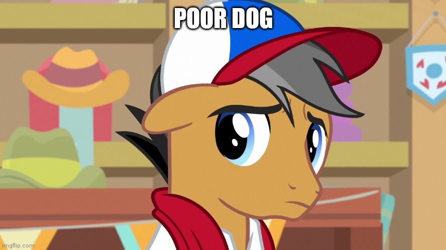 Pouty Pants (MLP) | POOR DOG | image tagged in pouty pants mlp | made w/ Imgflip meme maker