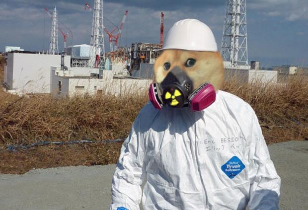 fukushima doge Blank Meme Template