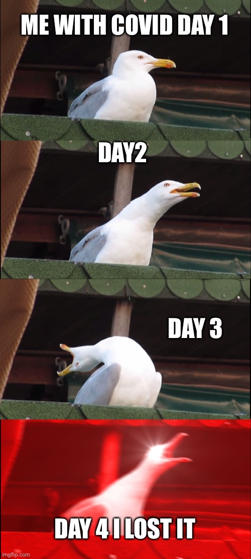 HELP | ME WITH COVID DAY 1; DAY2; DAY 3; DAY 4 I LOST IT | image tagged in memes,inhaling seagull | made w/ Imgflip meme maker