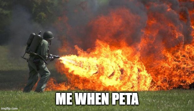 flamethrower | ME WHEN PETA | image tagged in flamethrower,peta | made w/ Imgflip meme maker